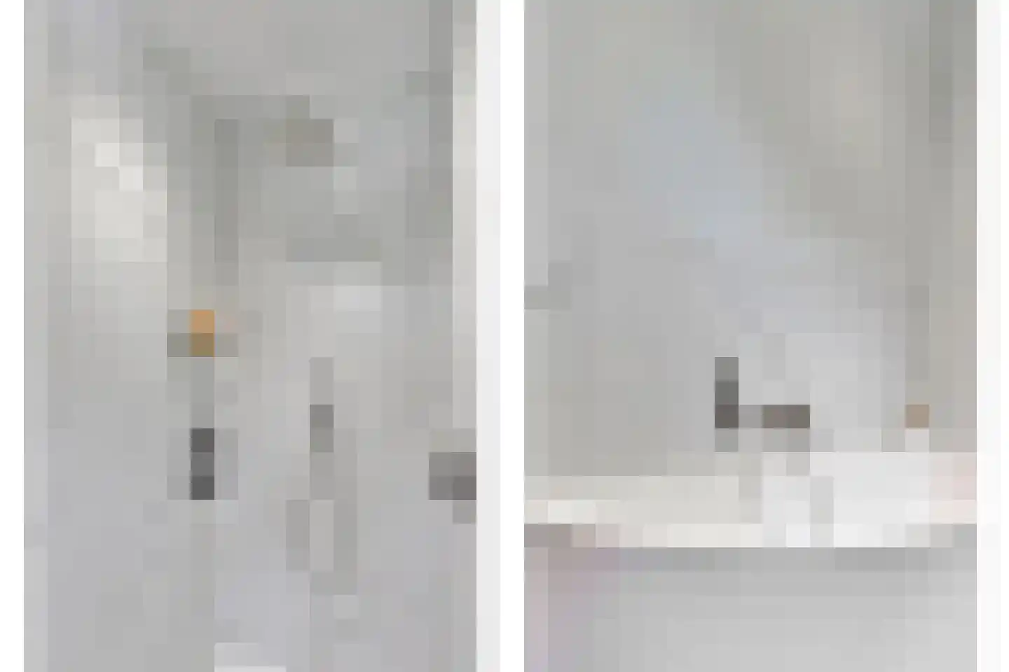 Pitrus 71 Malden thumbnail 21