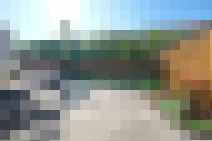 Pitrus 71 Malden thumbnail 22