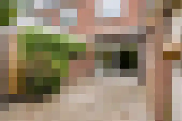 Pitrus 71 Malden thumbnail 23