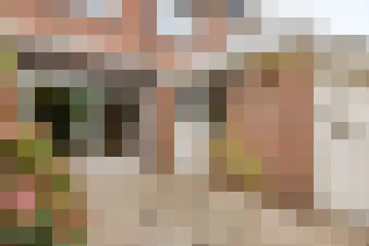 Pitrus 71 Malden thumbnail 25