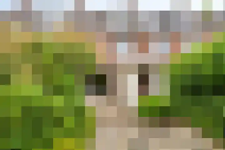 Pitrus 71 Malden foto 3