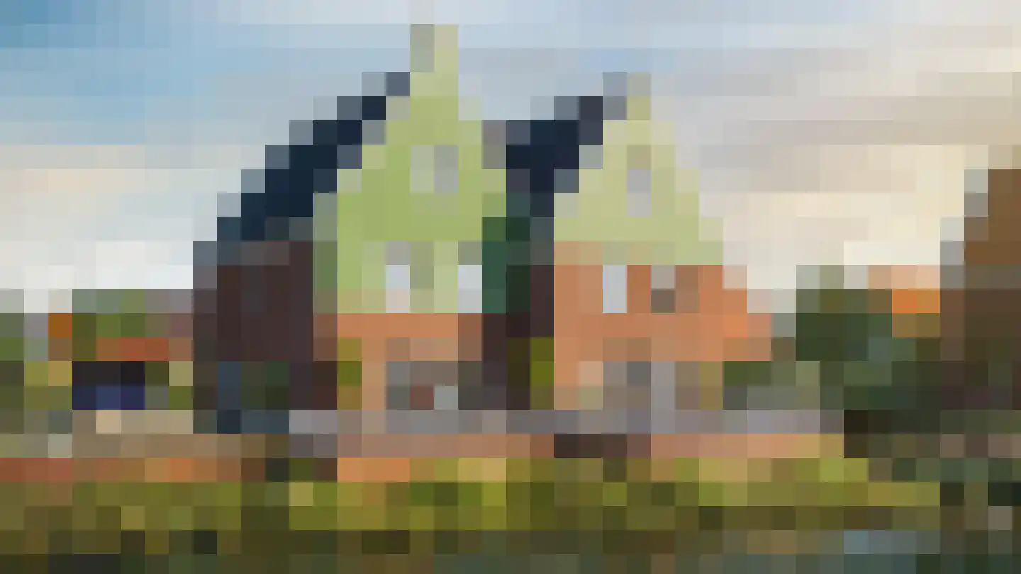 Pitrus 74 Assendelft