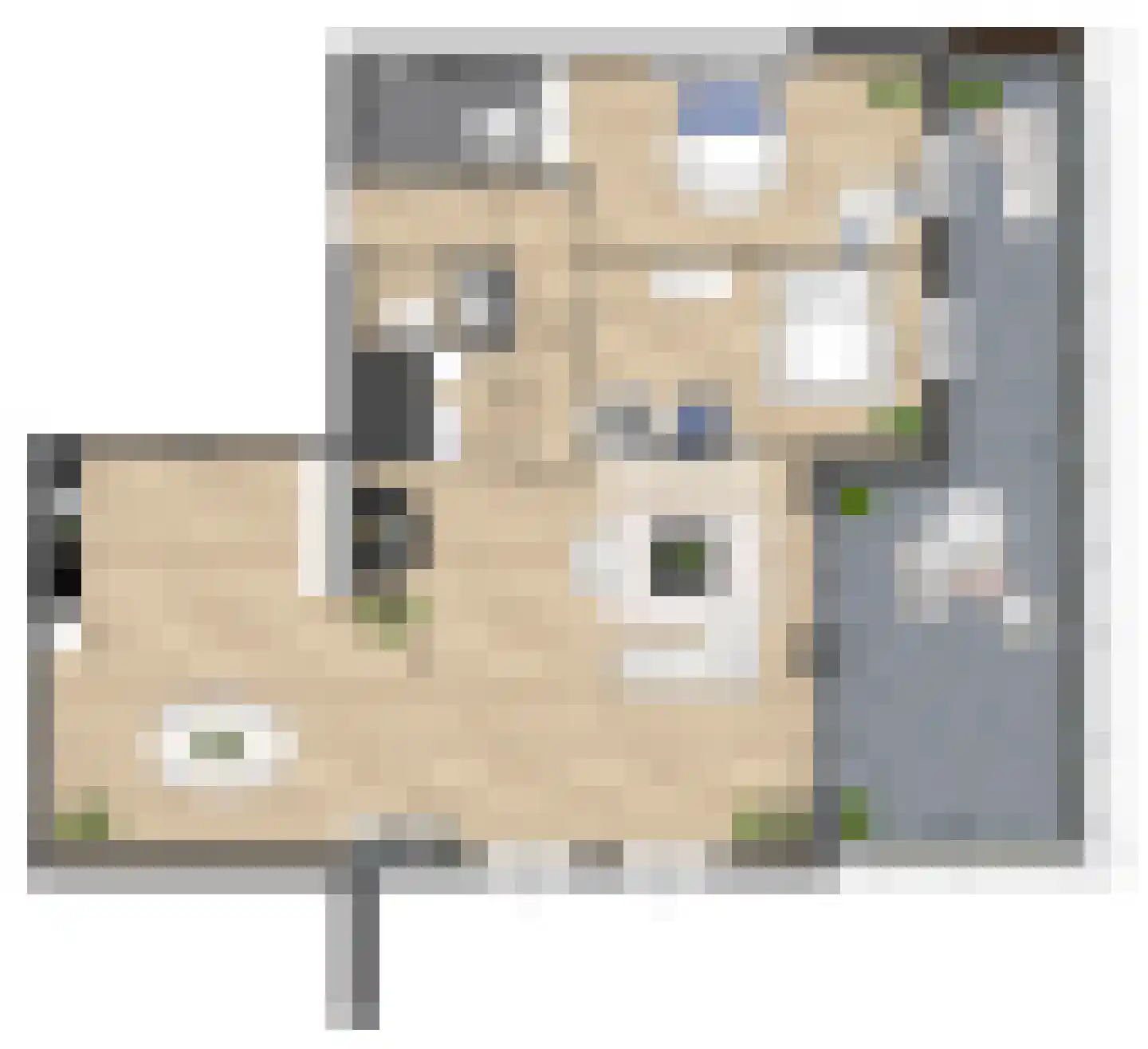 Pitrus 86 Assendelft thumbnail 10