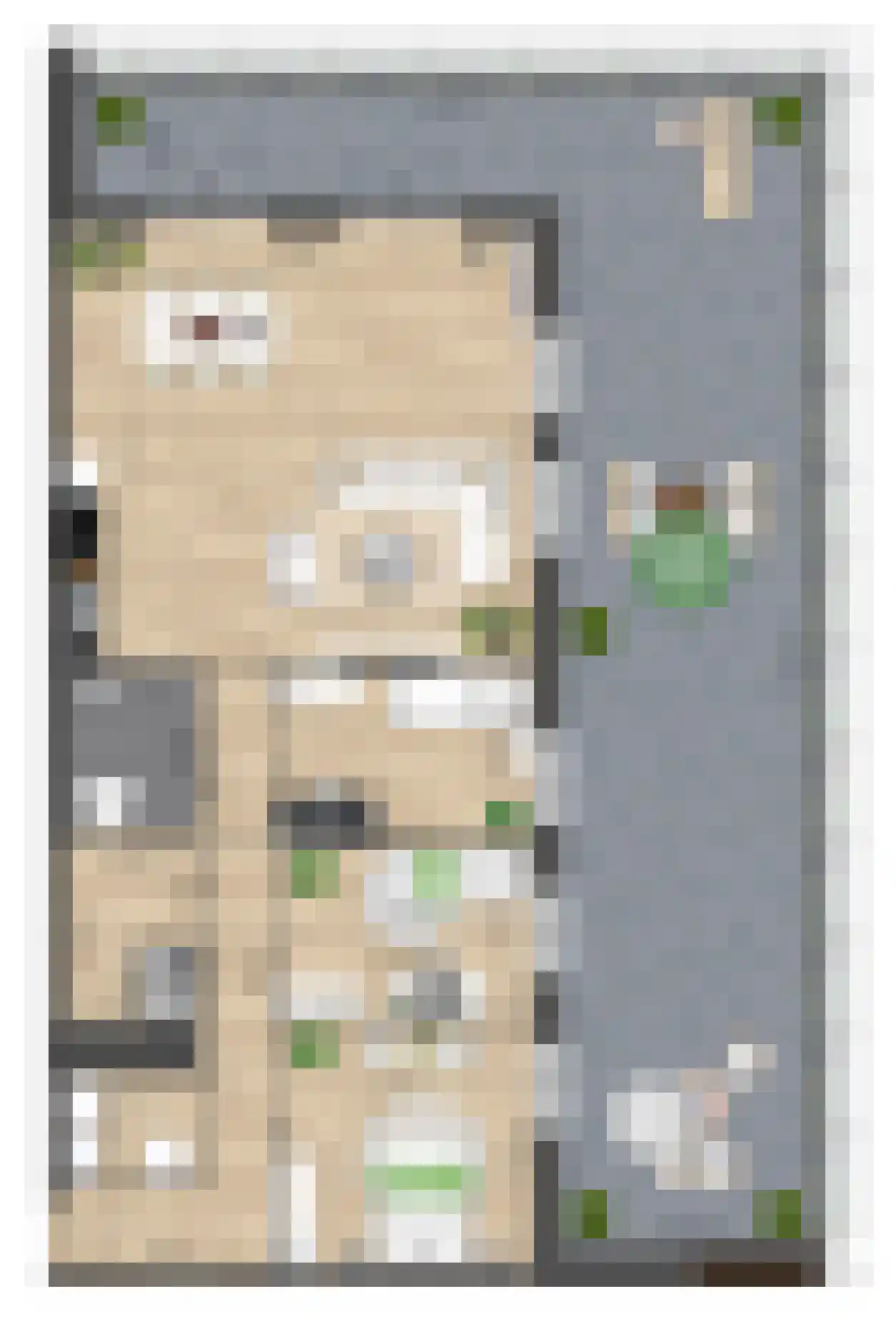 Pitrus 86 Assendelft thumbnail 12