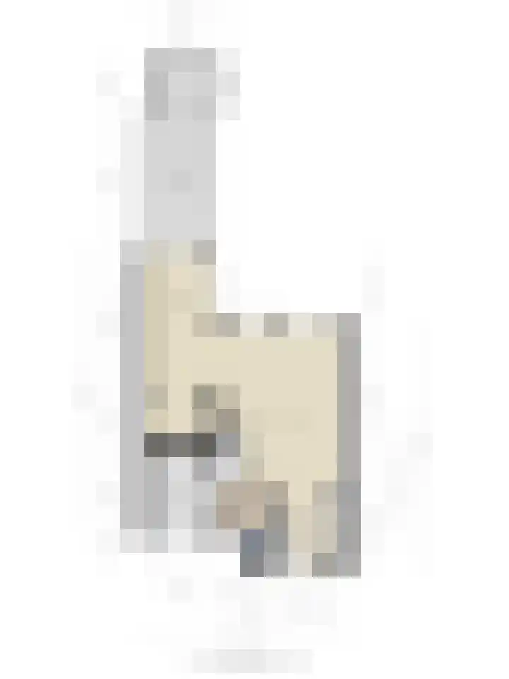 Pitrus 86 Assendelft thumbnail 15