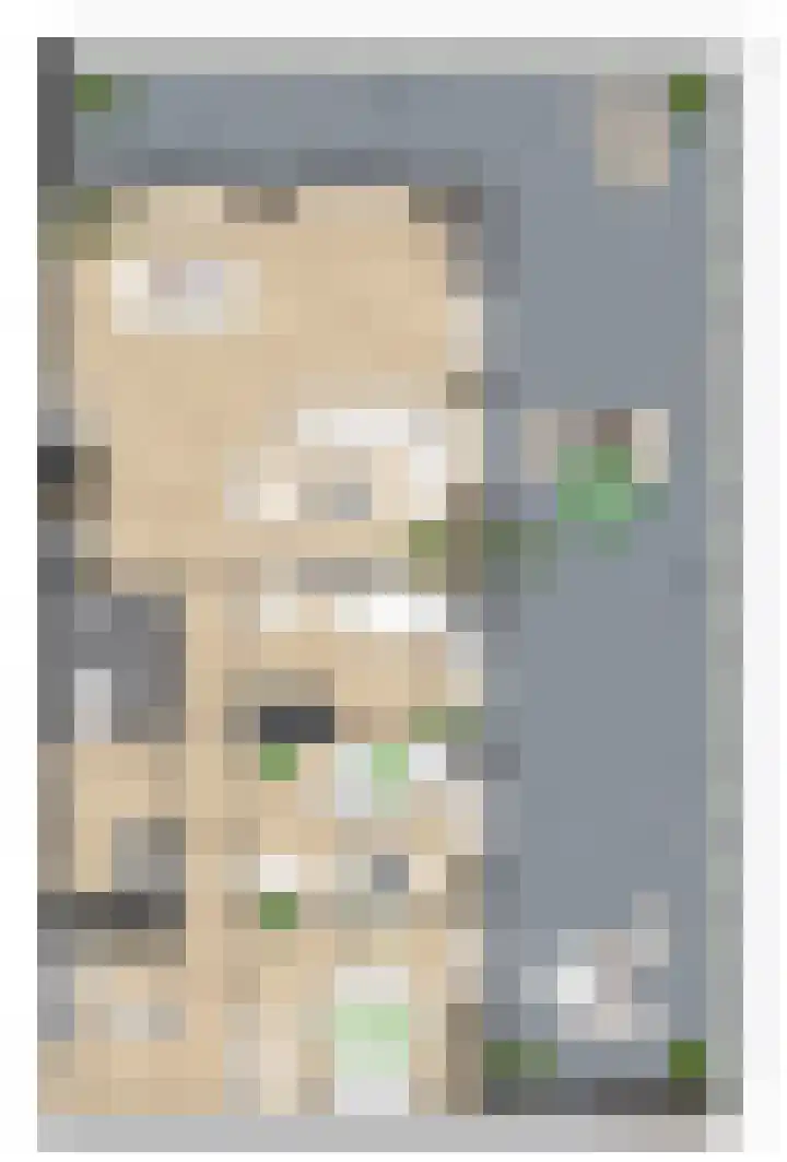 Pitrus 88 Assendelft thumbnail 11