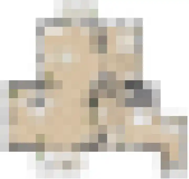 Pitrus 88 Assendelft thumbnail 15