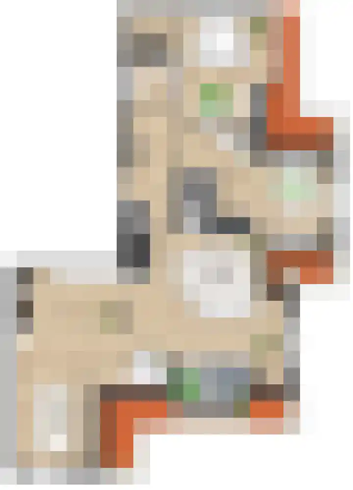 Pitrus 88 Assendelft thumbnail 17