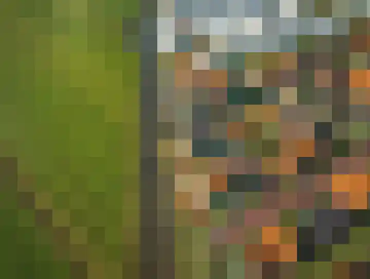 Pitrus 88 Assendelft thumbnail 4