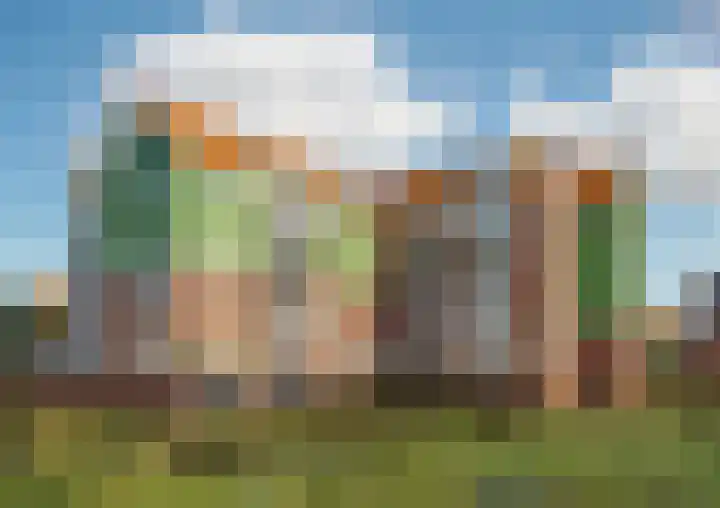 Pitrus 88 Assendelft thumbnail 6