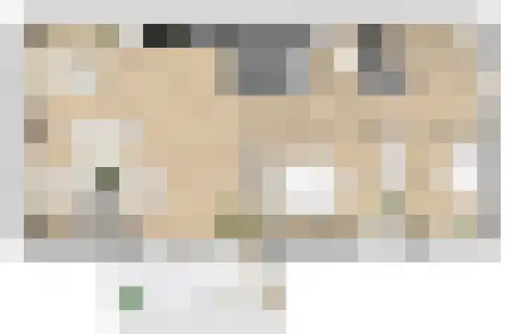 Pitrus 88 Assendelft thumbnail 7