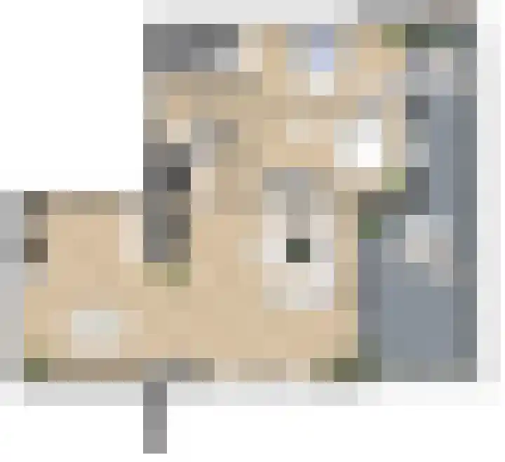 Pitrus 88 Assendelft thumbnail 9