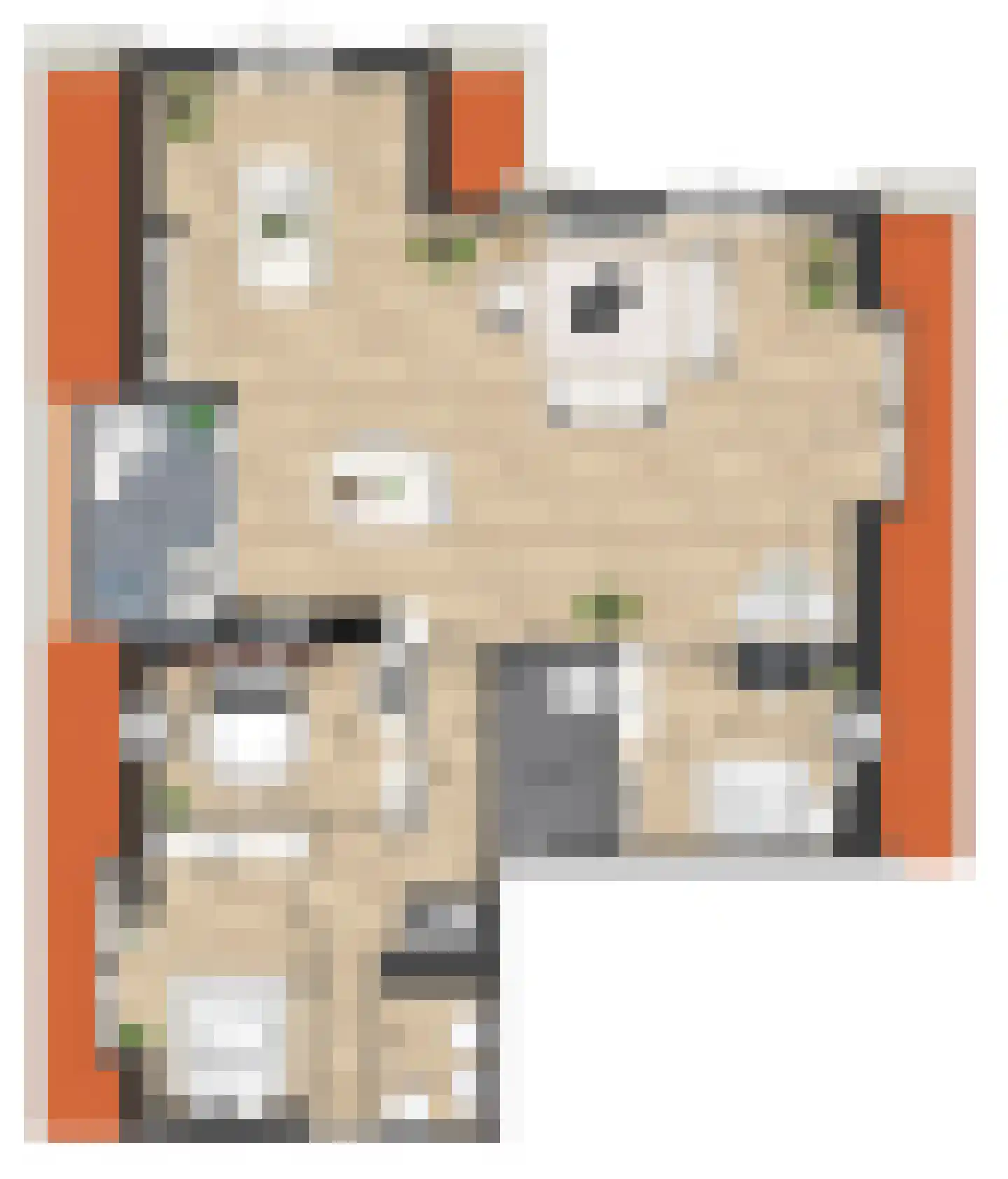 Pitrus 94 Assendelft thumbnail 17