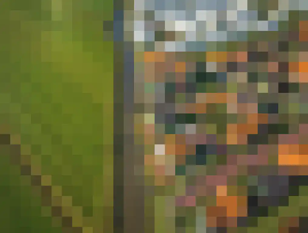 Pitrus 94 Assendelft thumbnail 4