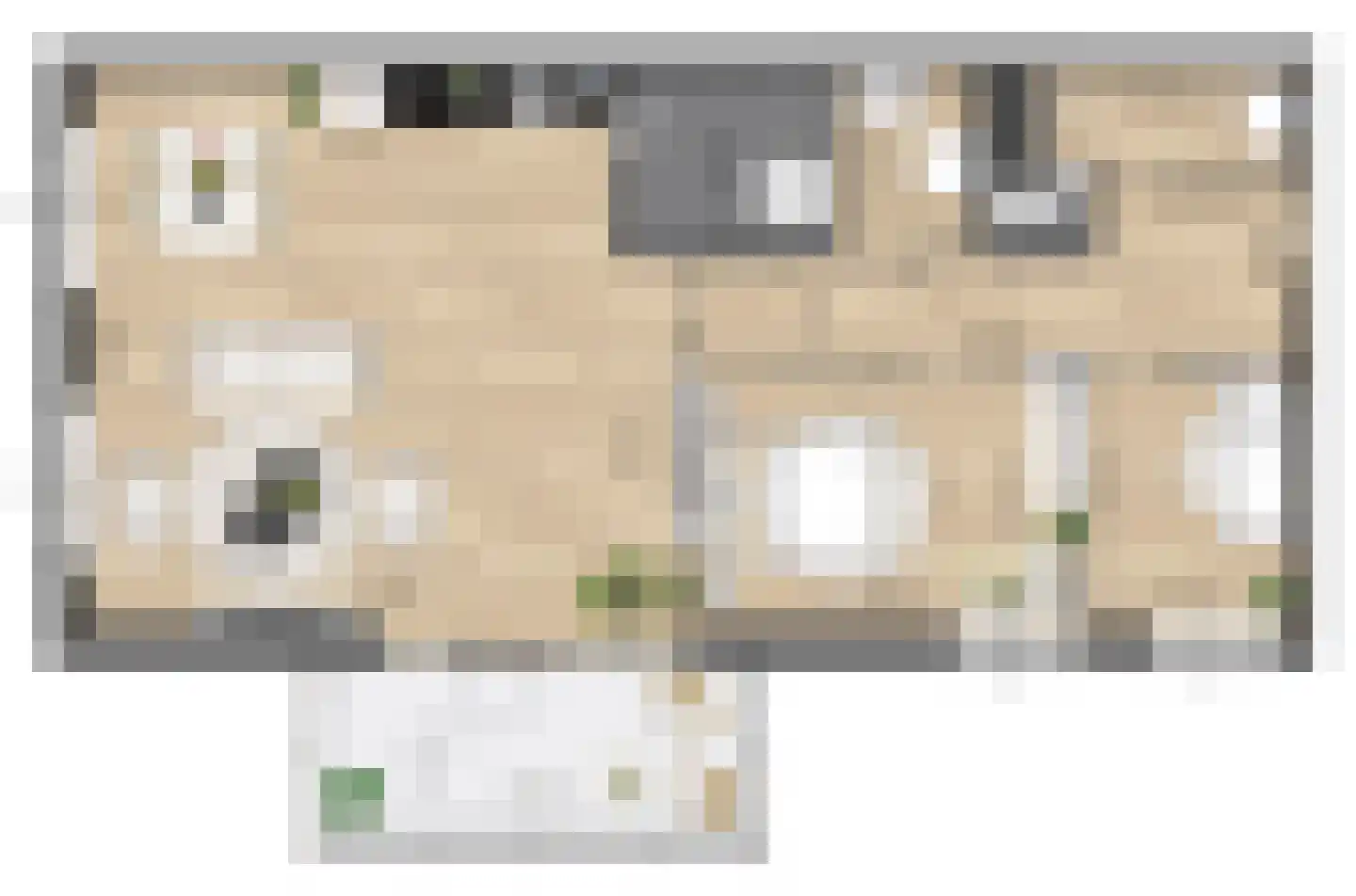 Pitrus 98 Assendelft thumbnail 8