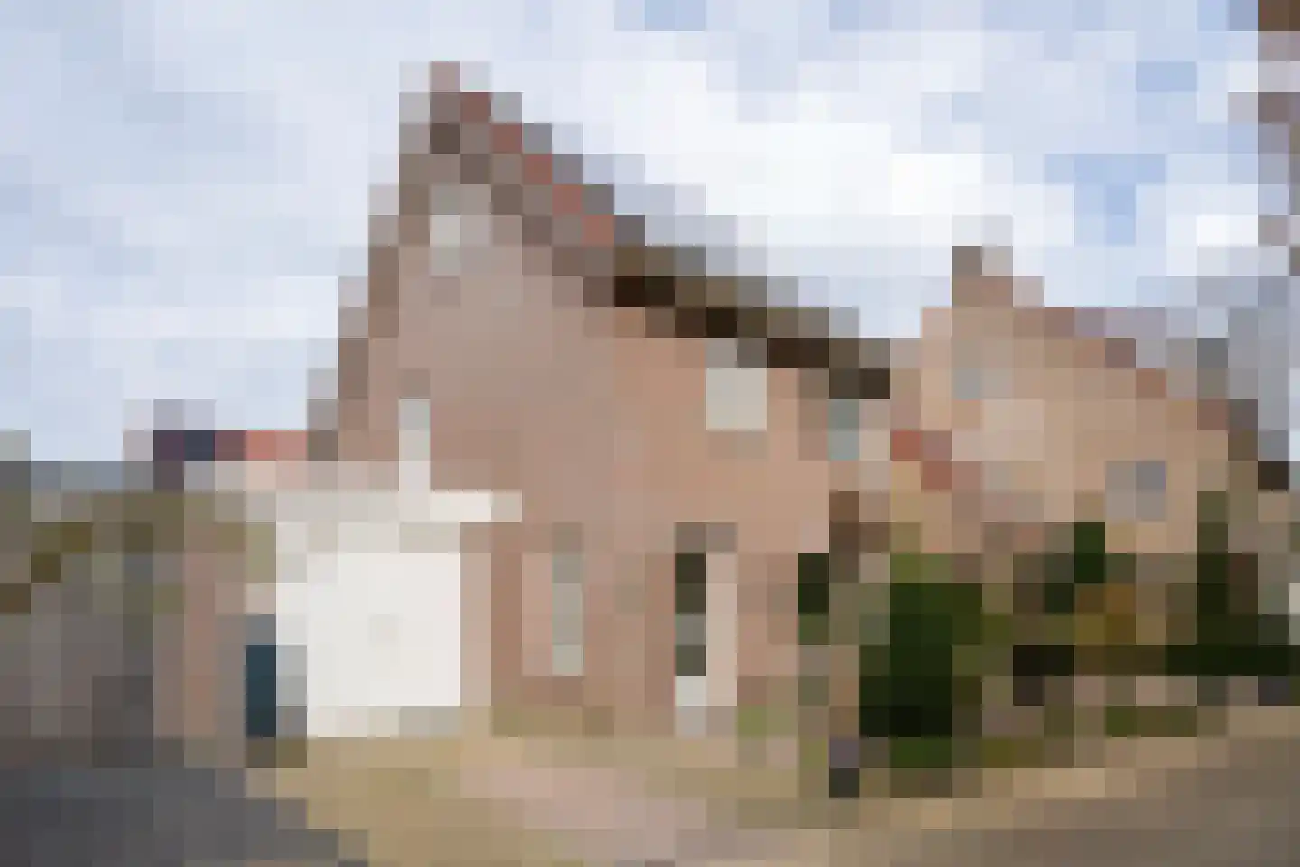 Pitruslaan 31 in Enschede