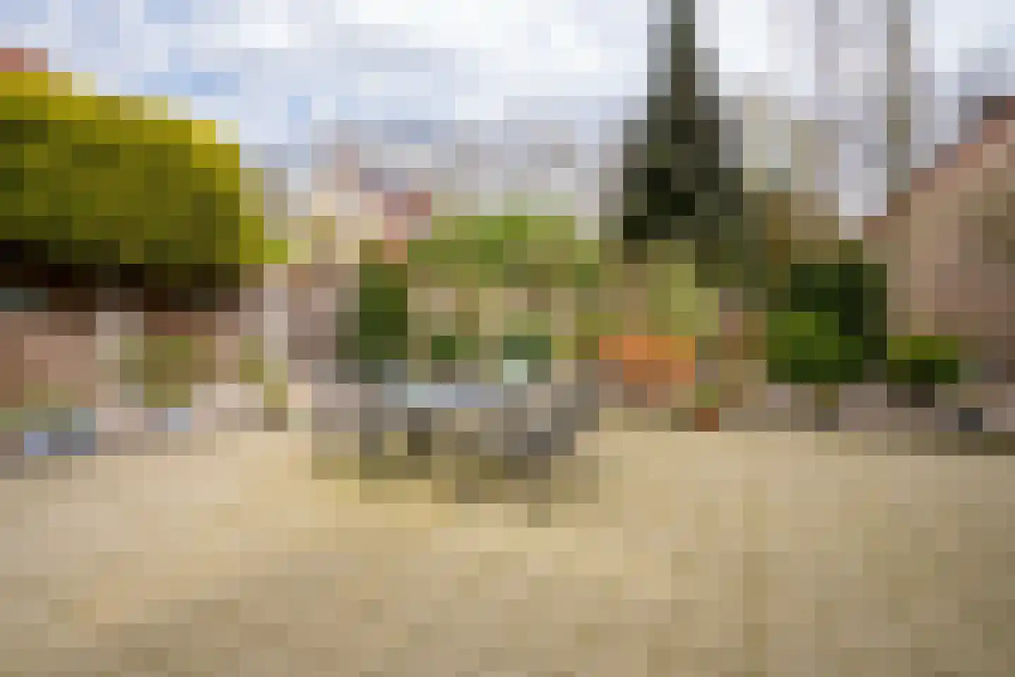 Pitruslaan 31 Enschede thumbnail 36