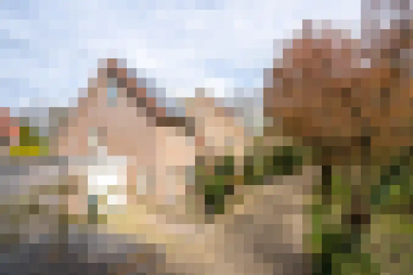 Pitruslaan 31 Enschede thumbnail 39