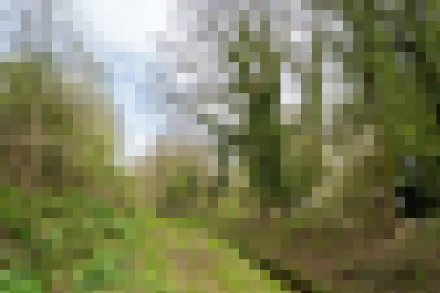 Pitruslaan 31 Enschede thumbnail 42