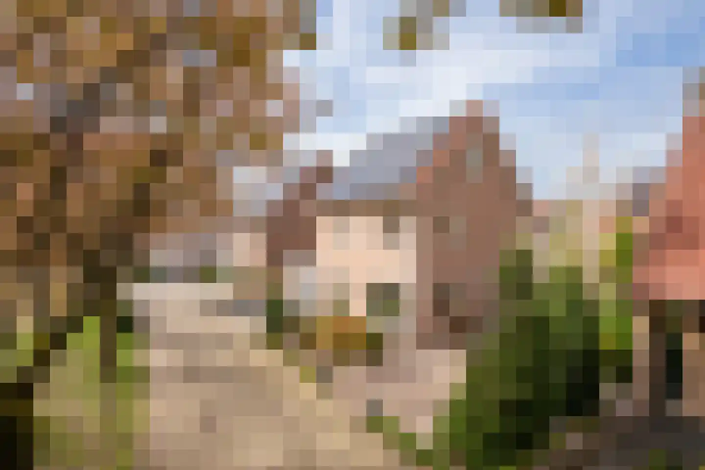 Pitruslaan 31 Enschede thumbnail 6