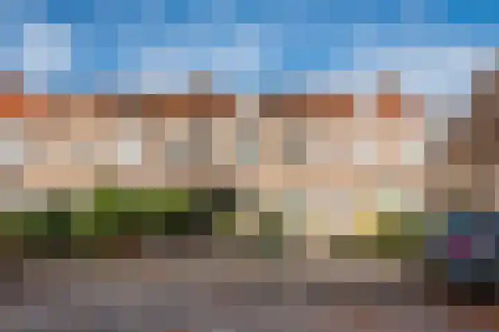 Pius X-straat 45 Rijen thumbnail 45