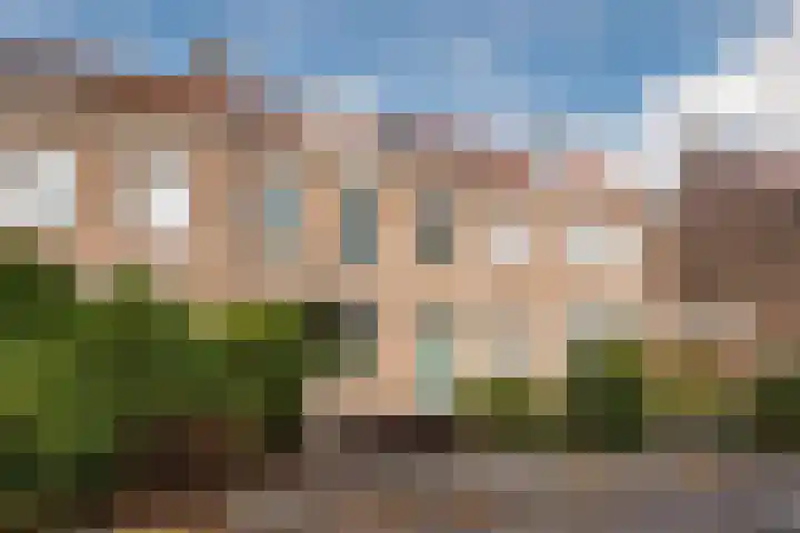 Pius X-straat 45 Rijen thumbnail 48