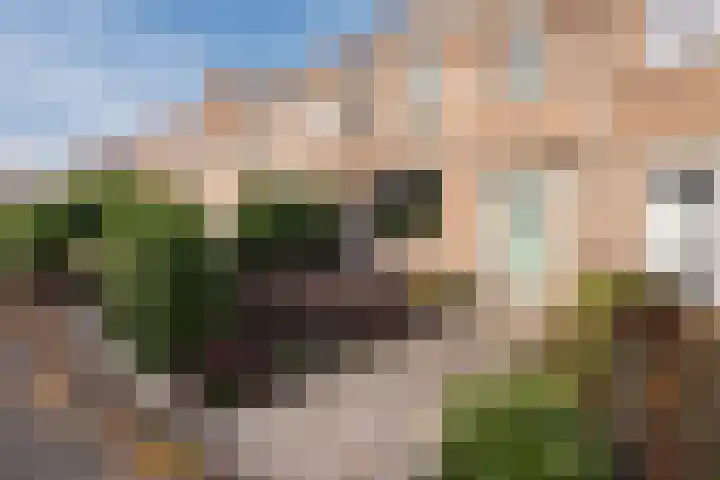 Pius X-straat 45 Rijen thumbnail 49