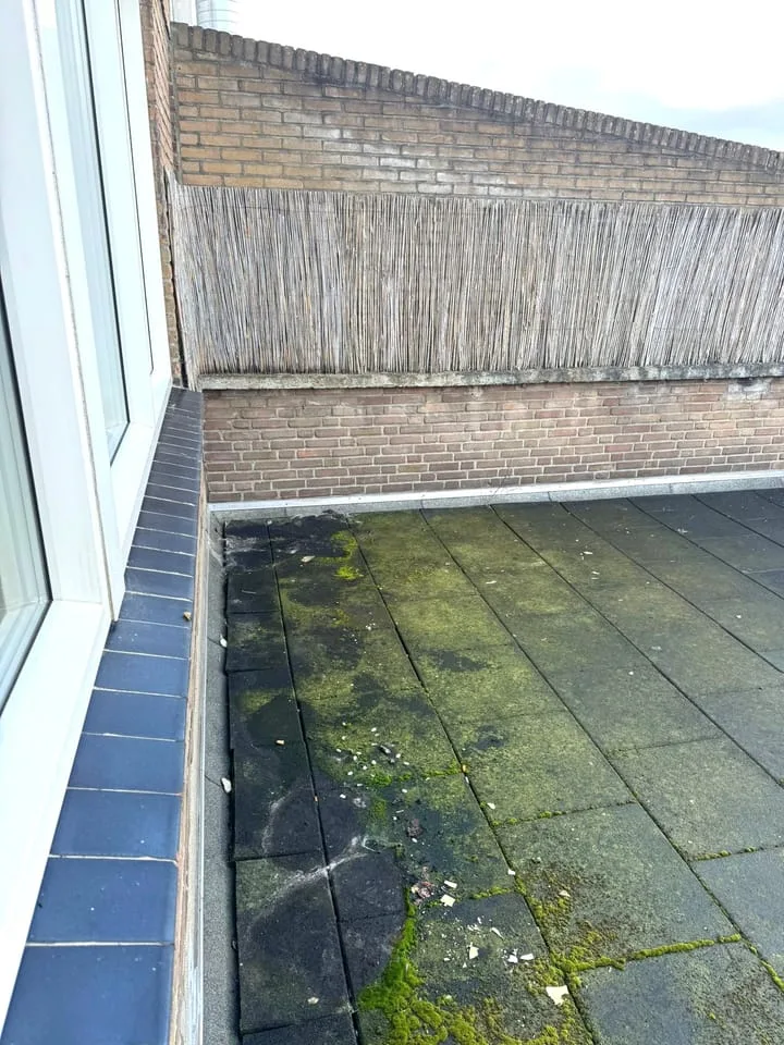 Pius XII-plein 10 B Hoensbroek thumbnail 27