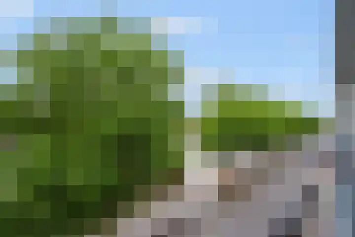 Piushaven 4 01 Tilburg thumbnail 26