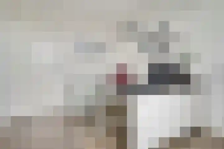 Piushaven 4 01 Tilburg thumbnail 36