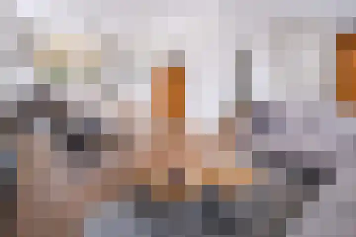 Piushof 1 Aarle-Rixtel thumbnail 12