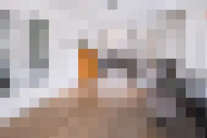 Piushof 1 Aarle-Rixtel thumbnail 15