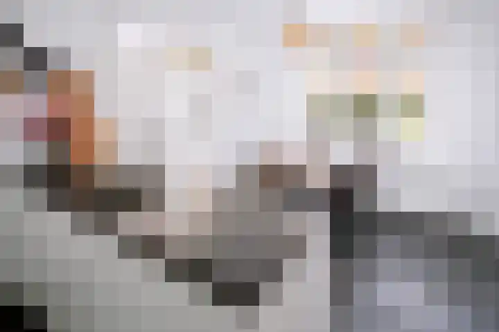 Piushof 1 Aarle-Rixtel thumbnail 20