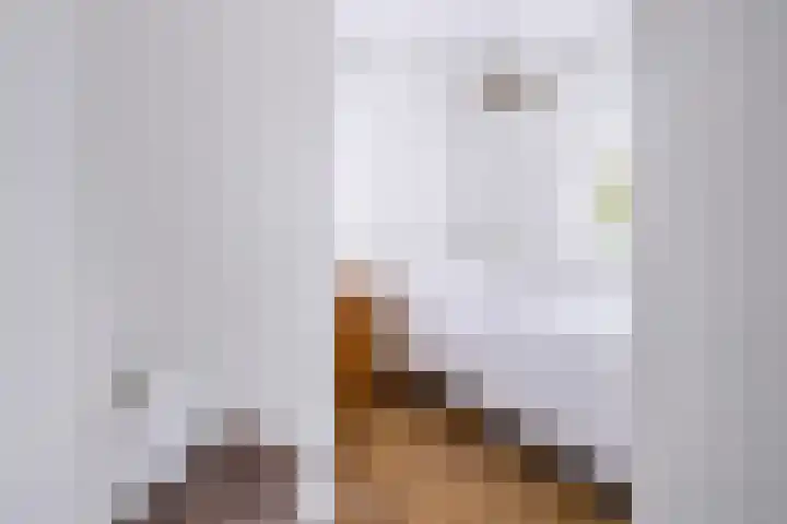 Piushof 1 Aarle-Rixtel thumbnail 22