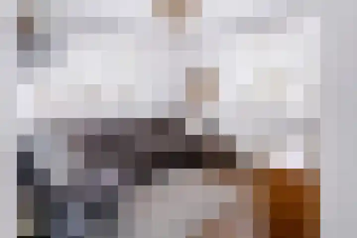 Piushof 1 Aarle-Rixtel thumbnail 25