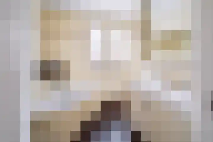 Piushof 1 Aarle-Rixtel thumbnail 29