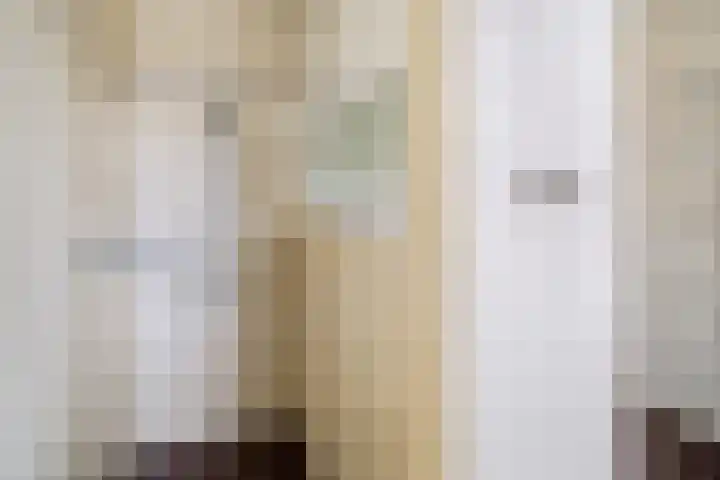 Piushof 1 Aarle-Rixtel thumbnail 30