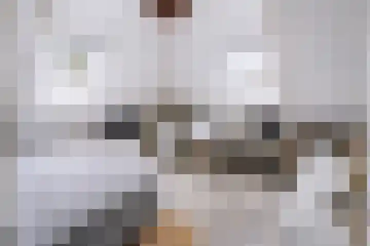 Piushof 1 Aarle-Rixtel thumbnail 32