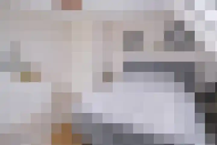 Piushof 1 Aarle-Rixtel thumbnail 33