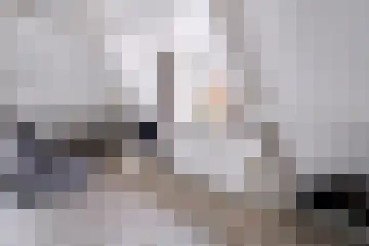 Piushof 1 Aarle-Rixtel thumbnail 34
