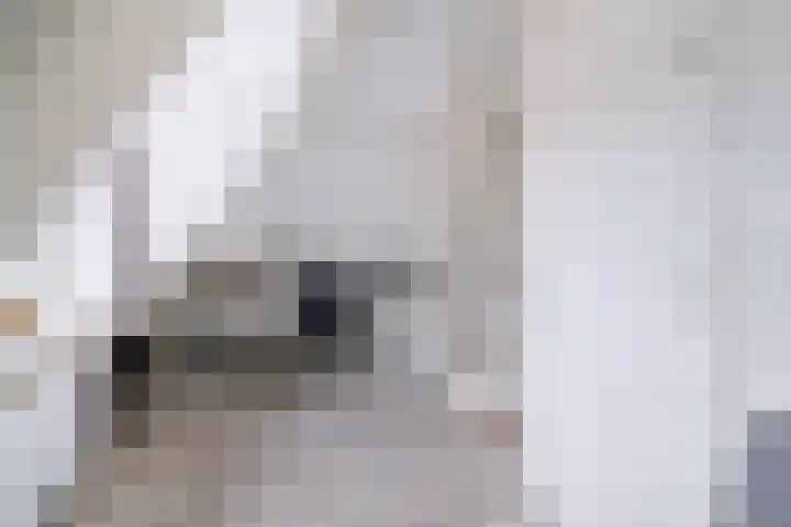 Piushof 1 Aarle-Rixtel thumbnail 35