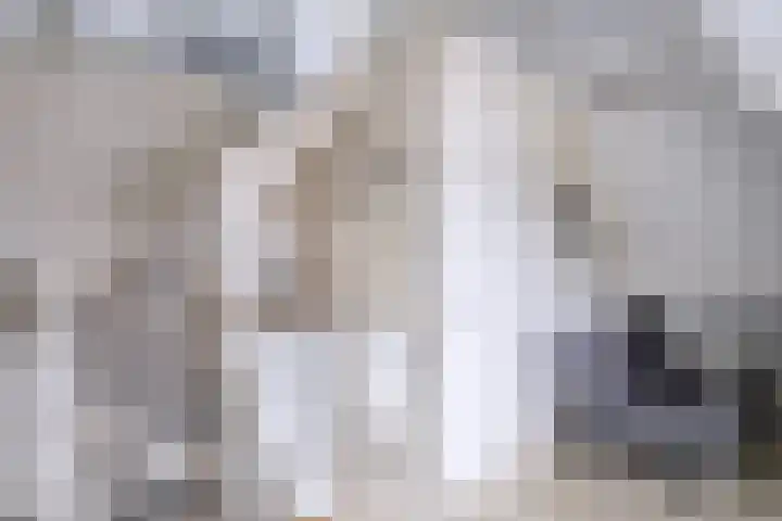 Piushof 1 Aarle-Rixtel thumbnail 36
