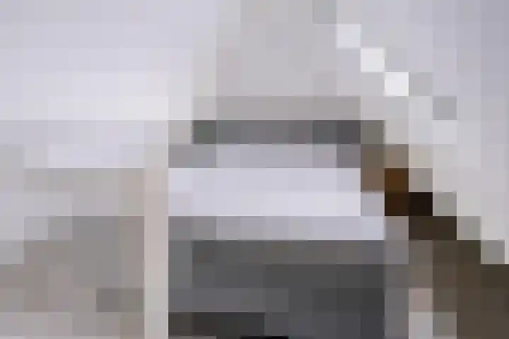 Piushof 1 Aarle-Rixtel thumbnail 37