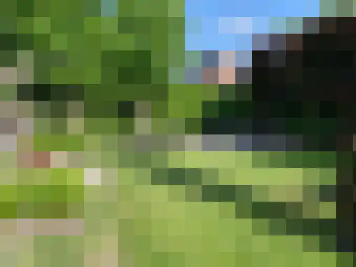 Piushof 1 Aarle-Rixtel thumbnail 4