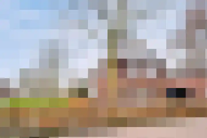 Piushof 1 Aarle-Rixtel thumbnail 5
