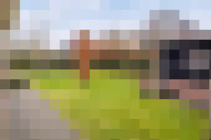 Piushof 1 Aarle-Rixtel thumbnail 6