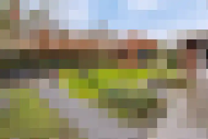 Piushof 1 Aarle-Rixtel thumbnail 8