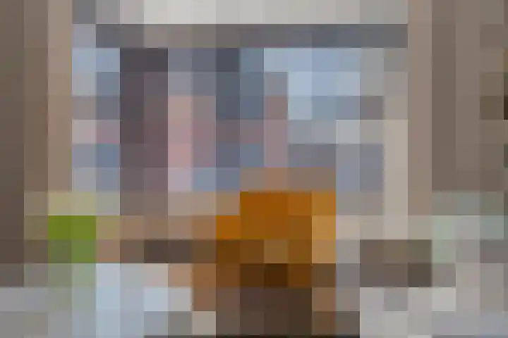 Piushof 17 Oudenbosch thumbnail 10