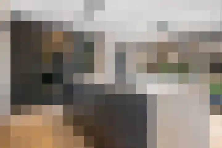 Piushof 17 Oudenbosch thumbnail 12