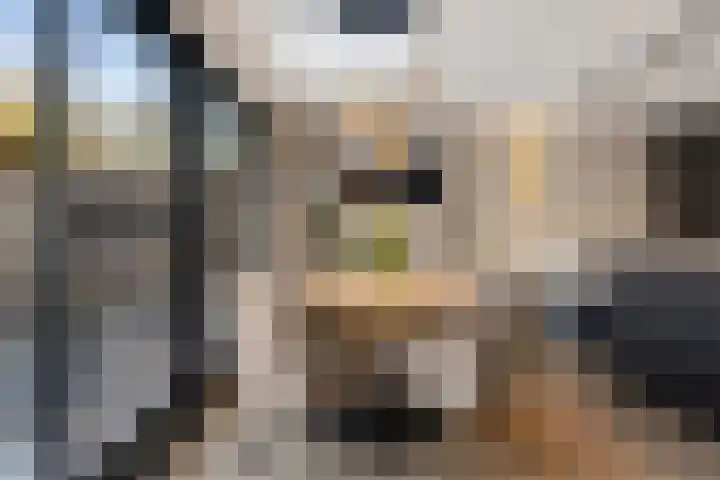 Piushof 17 Oudenbosch thumbnail 14